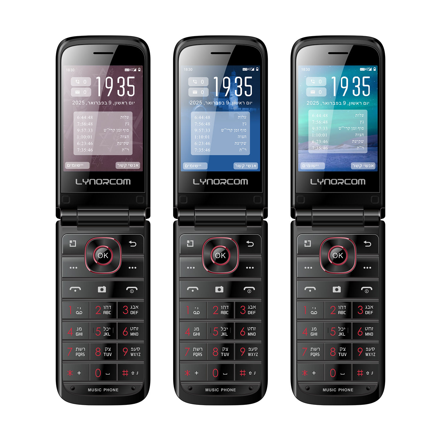 <strong>OEM &ODM F210 kosher  Jewish Phone 2</strong>